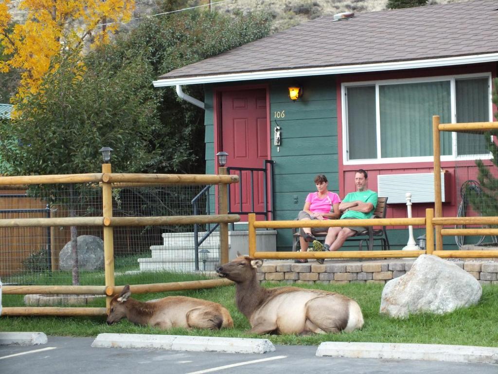 Yellowstone Gateway Inn Main image 1